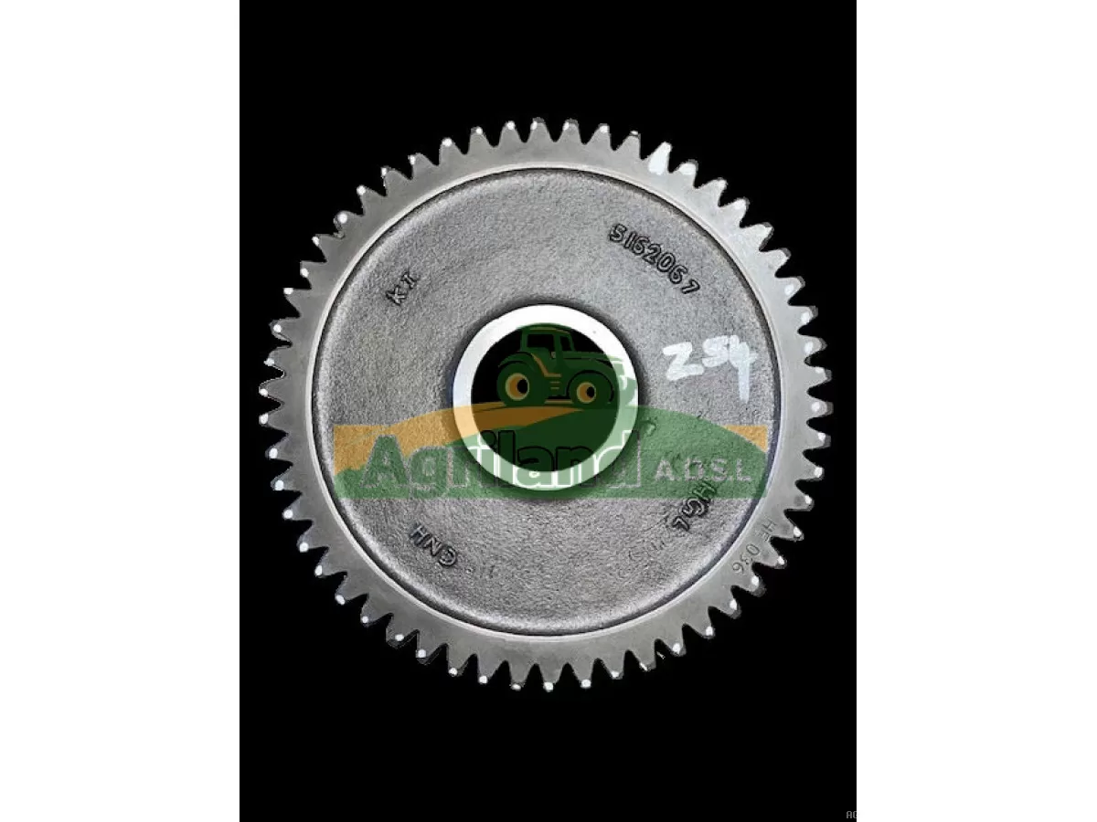 PIGNON D'ENTRAINEMENT Z54