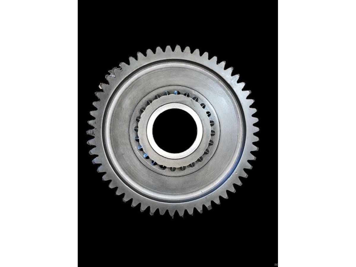 PIGNON D'ENTRAINEMENT Z54