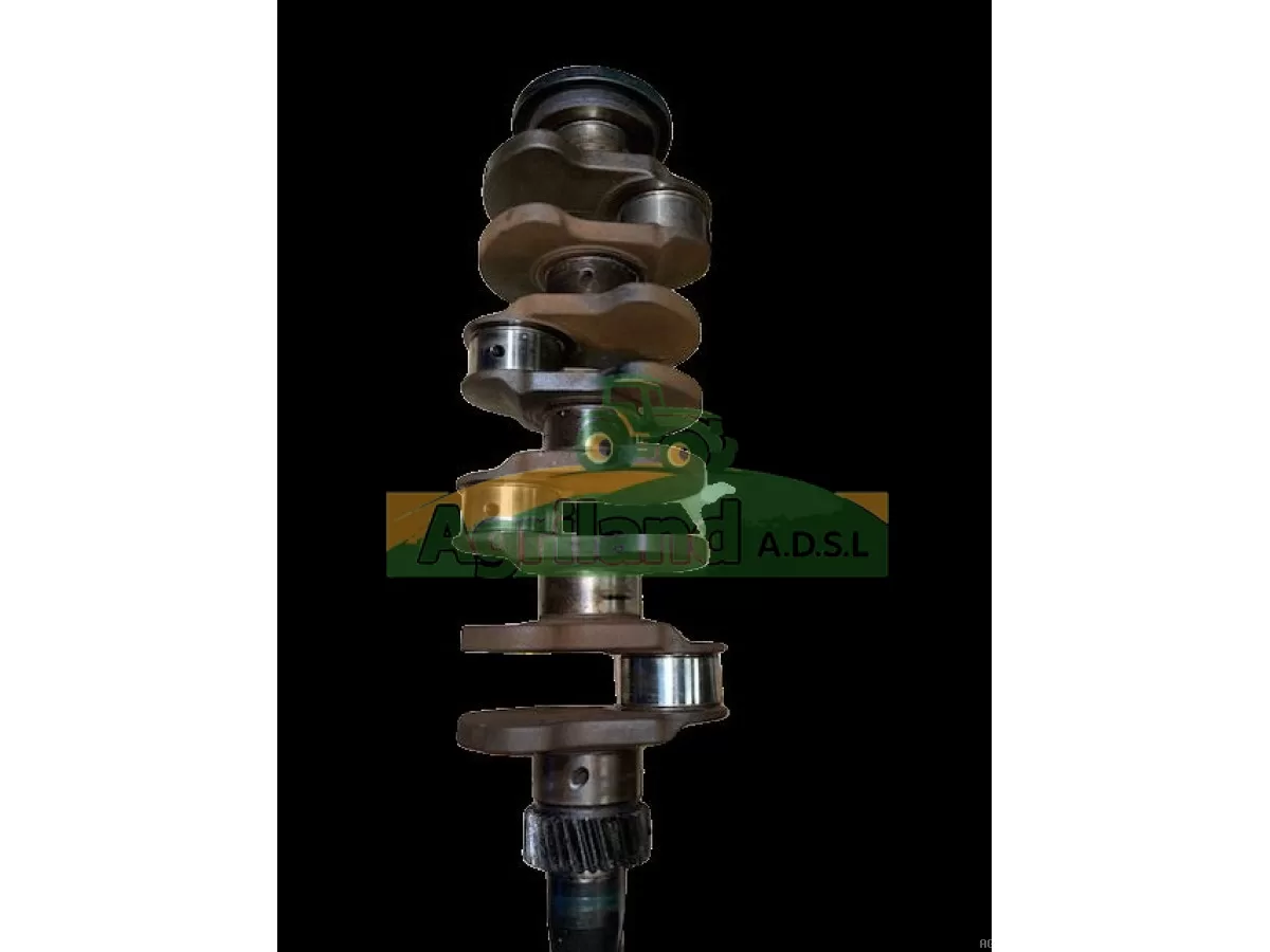 VILEBREQUIN AVEC PIG Z30