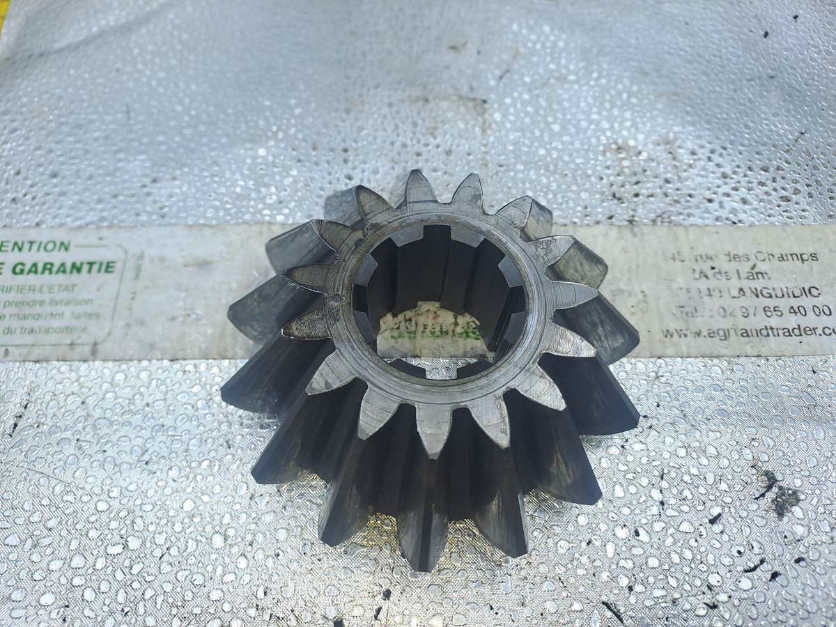 PIGNON CONIQUE Z15