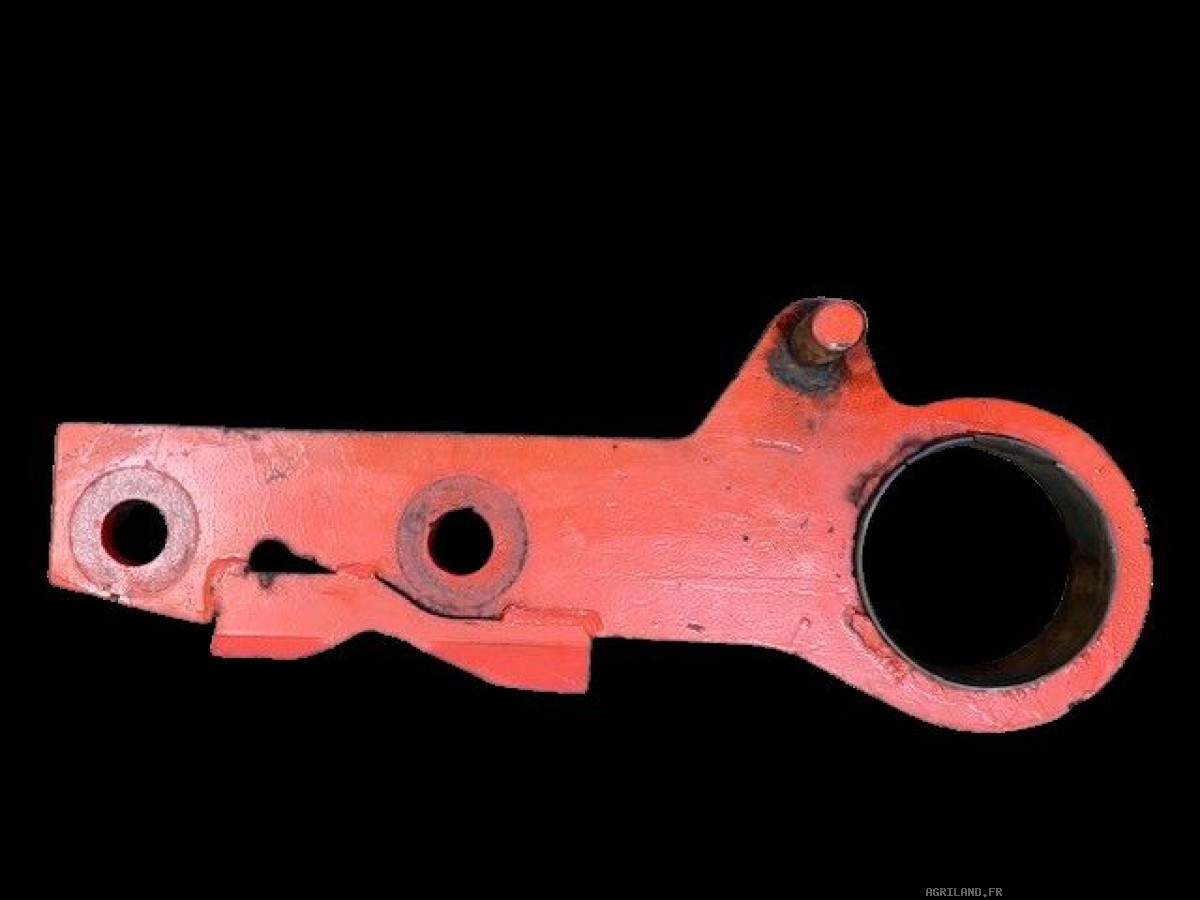 PATTE D'ETANÇON ( ŒILLET) 