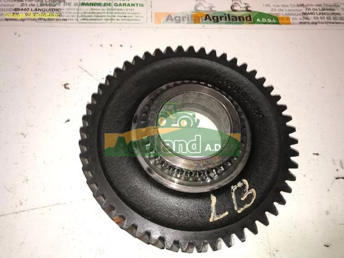 PIGNON D'ENTRAINEMENT Z51