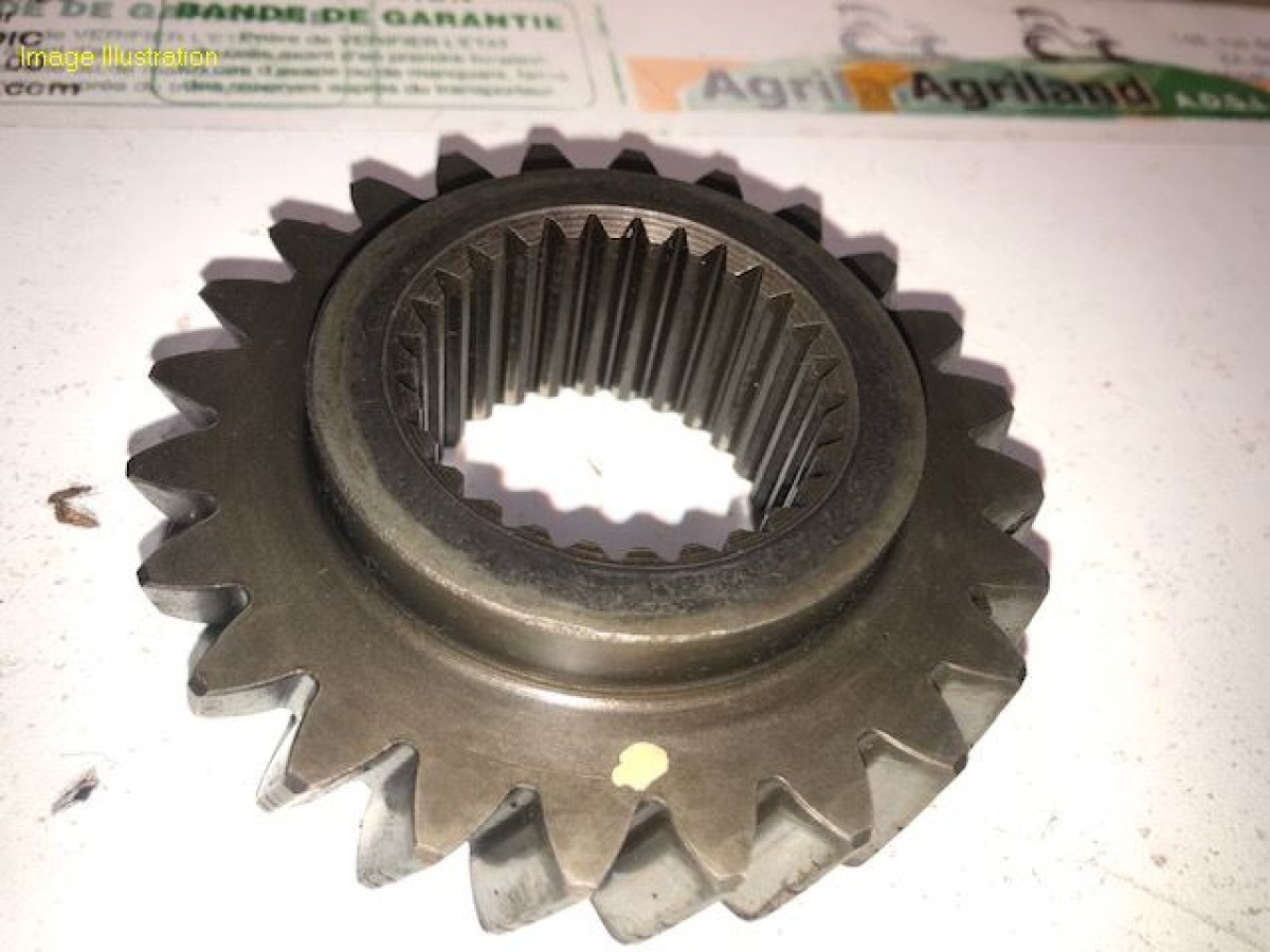 PIGNON D'ENTRAINEMENT Z24