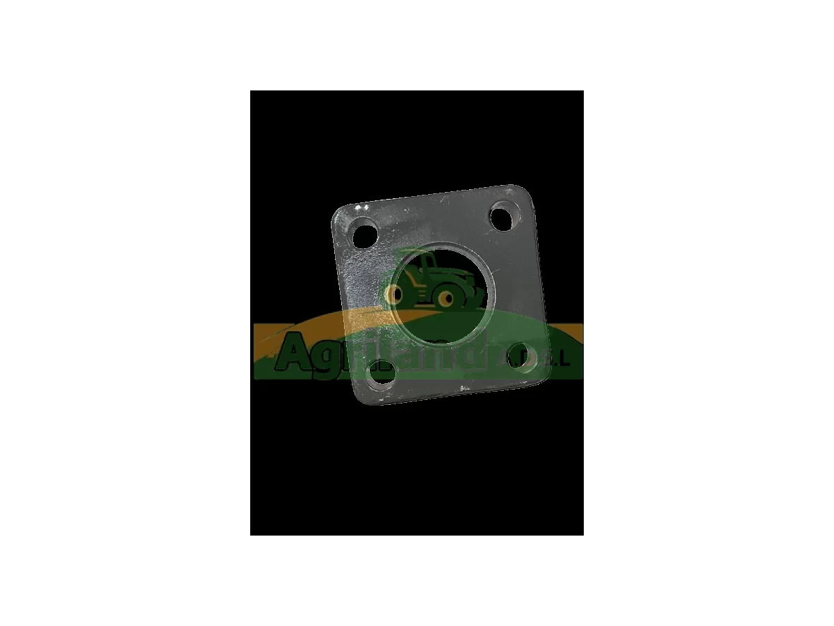 PLAQUE DE CARTER PIVOT