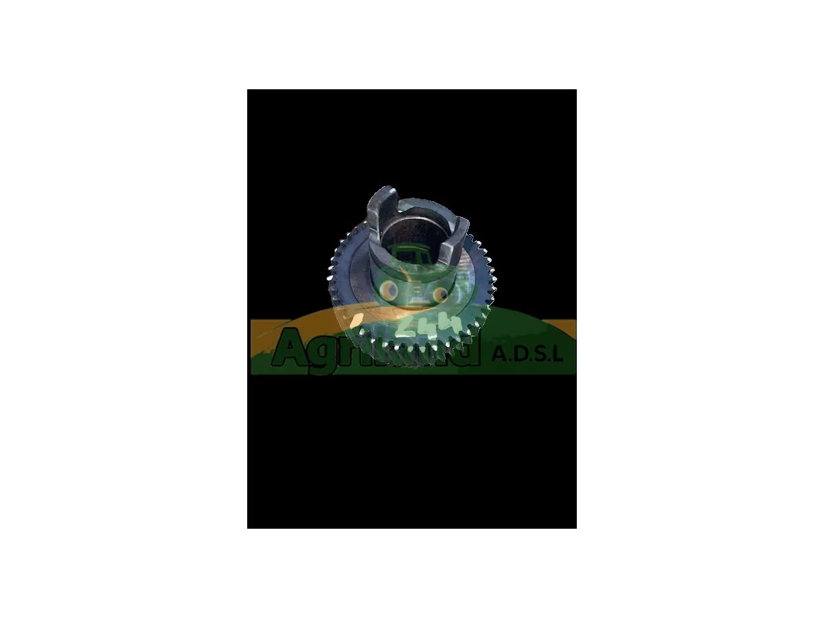 PIGNON DE POMPE HYDRAULIQUE Z44