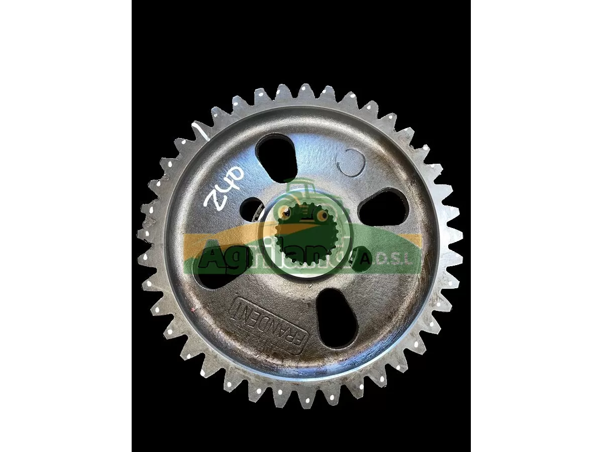 PIGNON LATERAL Z40