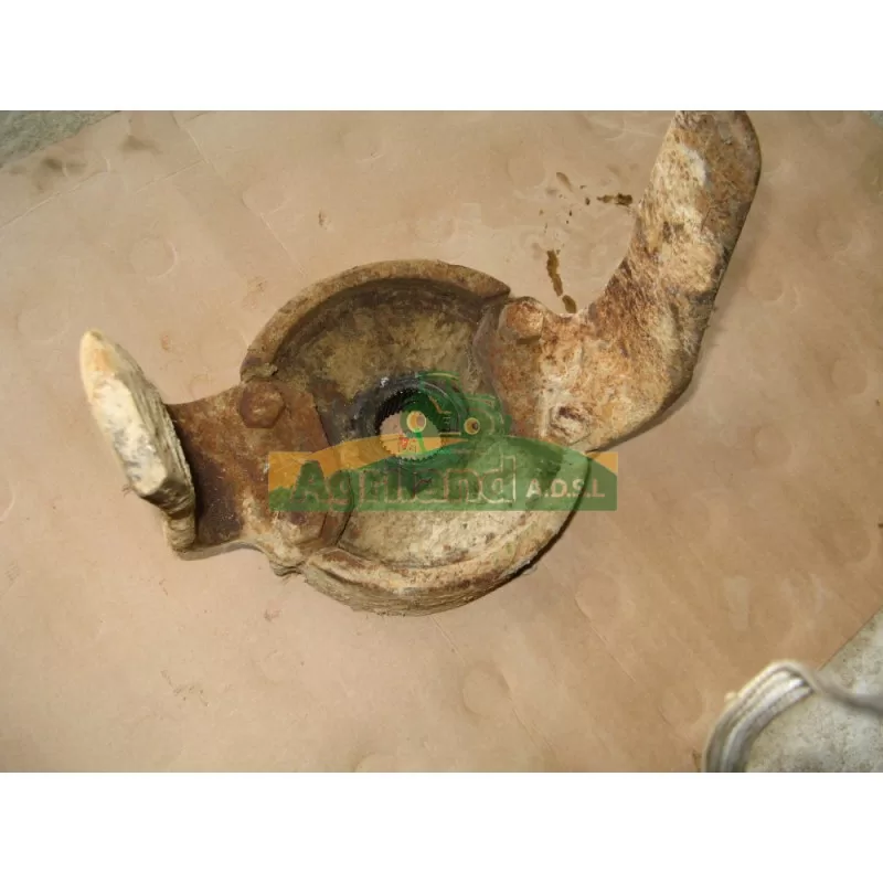 Arbre Porte Dent Agram