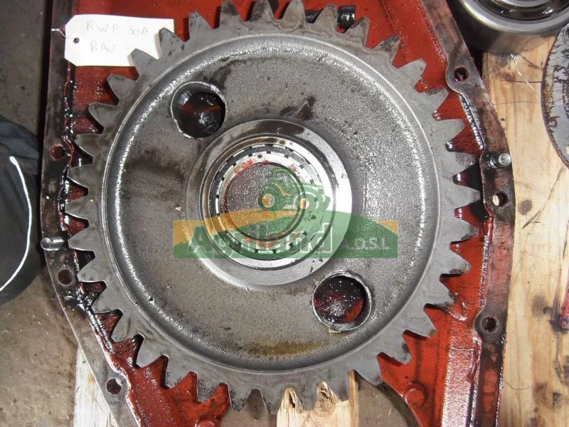 Pignon Rototiler Rau Rvp 30 40