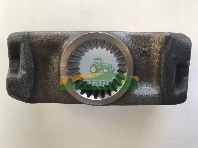 Porte Dents Lely