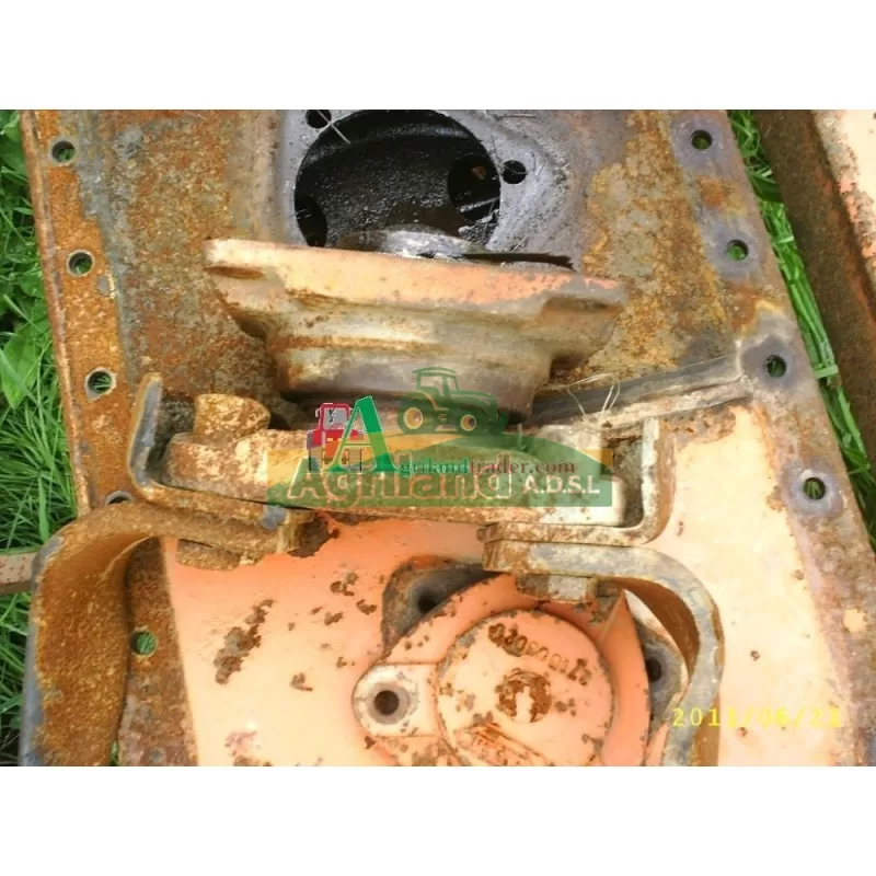 MASCHIO Porte Dent Mashio